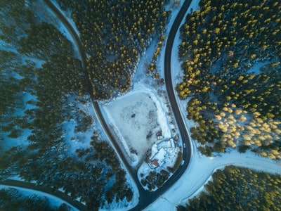 航空摄影的道路被树木包围着
